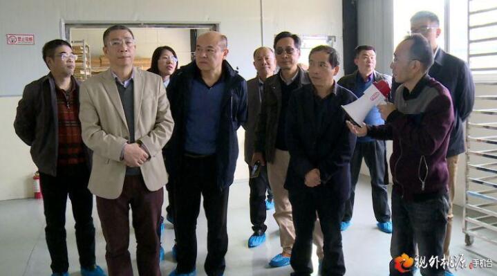 “湖南省社科專家服務團桃源行”調(diào)研活動　助推桃源發(fā)展