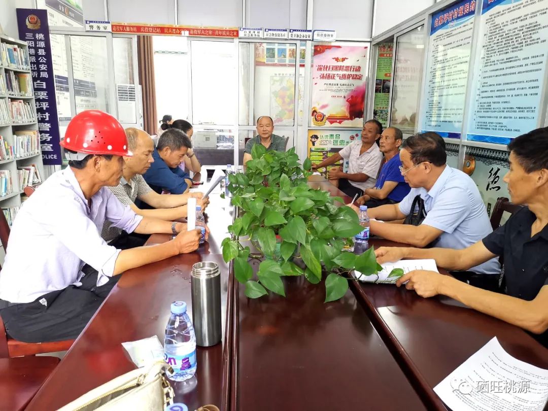 水稻富硒輕簡栽培能提質增效？三陽港鎮(zhèn)試驗示范給出肯定答案